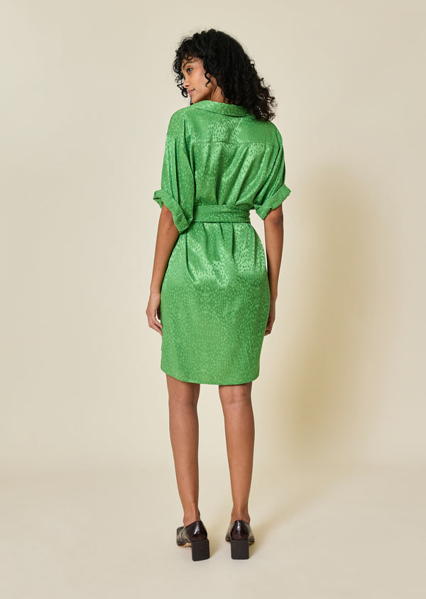 Belted Dress TAMAR